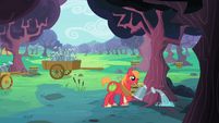 Big McIntosh watering a zap apple tree S2E12