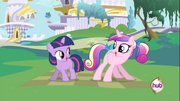 Cadance3