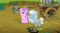 Diamond Tiara and Silver Spoon appear S5E4.png (839 KB) Diamond Tiara and Silver Spoon appear S5E4