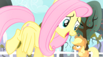 Fluttershy 'That's where I have to disagree' S4E07