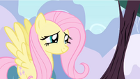 Fluttershy T1E1