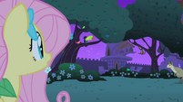 Fluttershy finds the critters S1E26