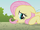 Fluttershy laying on the ground S1E07.png