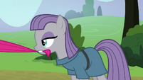 Maud Pie pulls Pinkie back by her tail S8E3