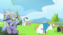 Other pegasi feeling dizzy S3E07