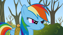 Rainbow Dash Two can play S1E13