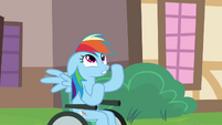 Rainbow Dash Wheelchair Outside 2 S2E16