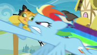 Rainbow Dash collecting multiple cats S8E5