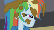 Rainbow Dash covered in cookie batter EG2