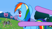 Rainbow Dash eyes S02E03