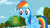 Rainbow Dash for you S02E15