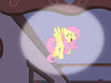 Fluttershy ma głos