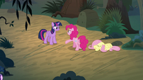 Twilight and Pinkie argue next to Fluttershy S8E13