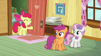 Apple Bloom arrives at the clubhouse S5E4