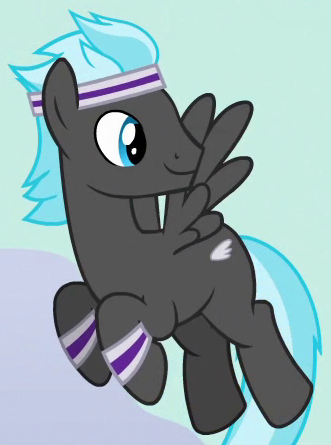 Cloud Chaser My Little Pony Friendship Is Magic Wiki Fandom