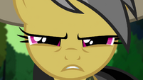 Daring Do "I work alone" S4E04