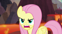 Fluttershy "she's packin' a whole lifetime" S9E9