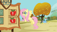 Rainbow Dash sits under an apple tree S1E13