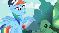 S02E07 Rainbow Dash poucza Tanka