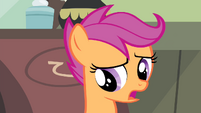 Scootaloo, still unsure of why their outfits are late.