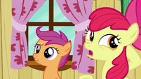 Apple Bloom --you might've heard some tall tales-- S6E19