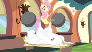 Bulk Biceps lifting weights and Fluttershy S4E24