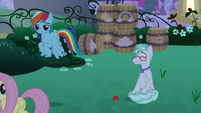 RD and Fluttershy leave Feather Flatterfly S9E17