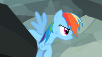 Rainbow Dash about to fly away S2E07