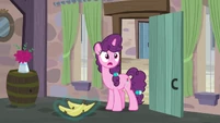 Sugar Belle drops her bananas shocked S7E8.png (728 KB)