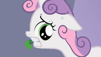 Sweetie Belle sweating S2E05