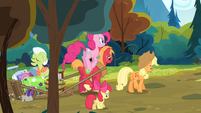 The Apples walking while Pinkie is hopping S4E09
