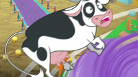 Cow swept up in Bloofy's tornado S9E22