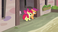 Cutie Mark Crusaders looking for Big McIntosh S7E8