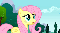 Fluttershy "Passion" S01E16