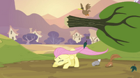 Fluttershy dodging a tree S2E22