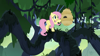 Fluttershy flies up to the flash bees' hive S7E25