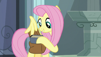 Fluttershy puts Fallen Idol in her saddlebag S9E21