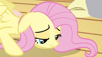 Fluttershy recovering S3E13