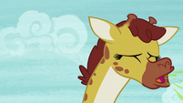 Giraffe sneezing S7E5