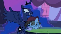 Princess Luna trying to save Pipsqueak.