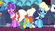 Rainbow Dash getting through the crowd S1E26