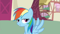 Rainbow Dash grinning S4E21