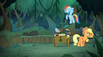 Rainbow and Applejack looking for Fluttershy S8E13