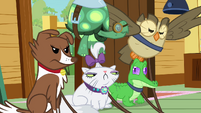 The other pets unhappy S3E11