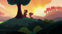 Apple Bloom "everything's fine" S5E17
