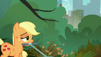 Applejack accidentally mows over her hat S5E16