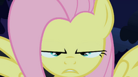 Fluttershy about to do the stare S1E17
