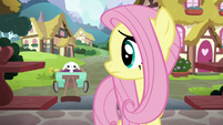 Fluttershy looking back at sad Angel S7E5
