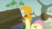 Fluttershy rescues the mice S5E23