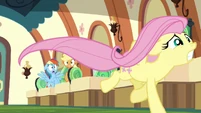 ...And neither could Fluttershy